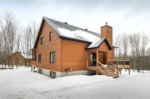 Snow-covered wooden house surrounded by bare trees, emphasizing a winter setting and maintenance considerations.